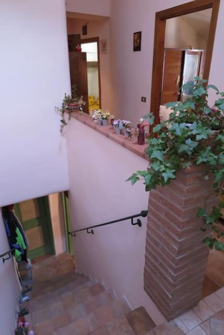L'Oasi Di Pace Villa Pale Exterior photo
